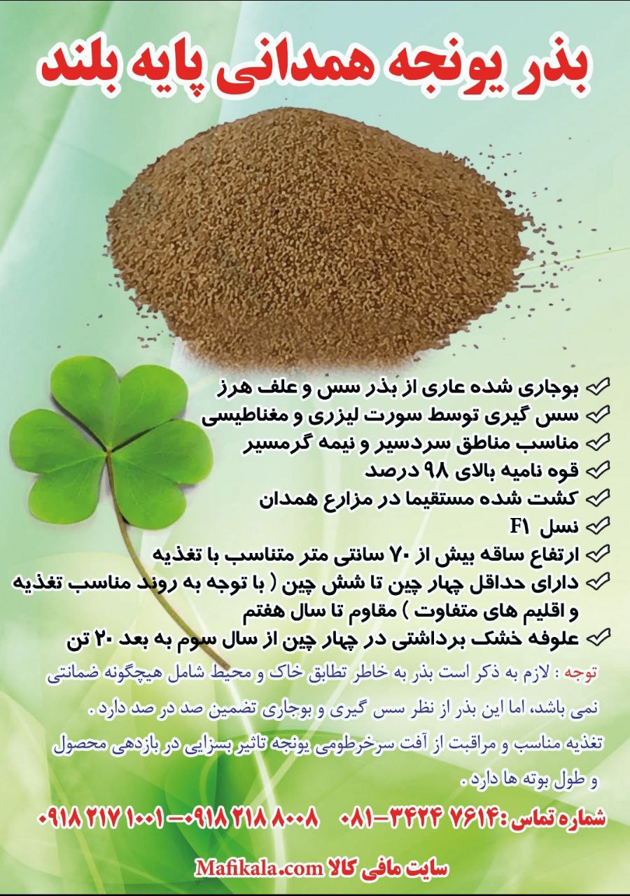 مافی کالا